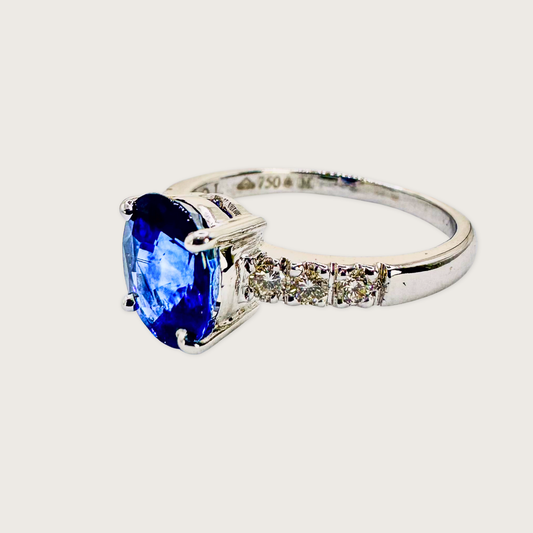 Royal Aurora – Sapphire & Diamond Ring in White Gold