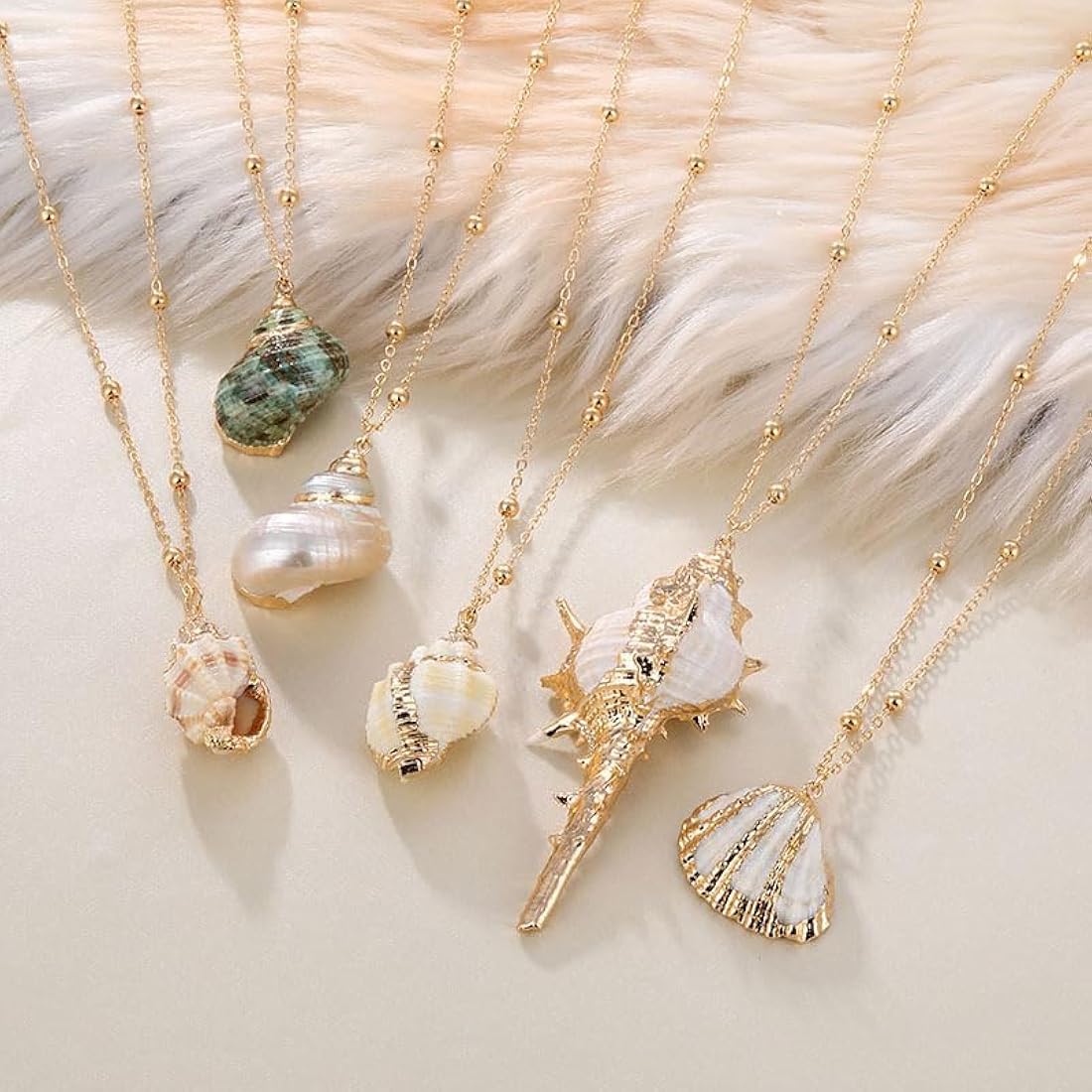 Conch Shell Astrology Stone