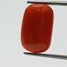 Red Coral Moonga Astrology Stone